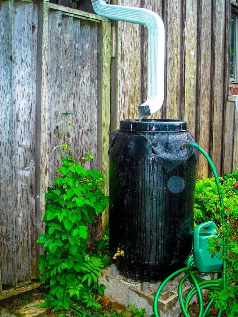 6 of the Best Rain Barrels that Experts are Using in 2024 – World Water ...