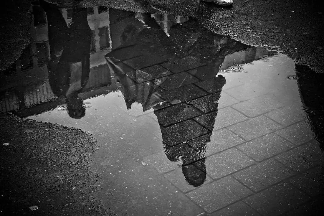 rain puddle reflection