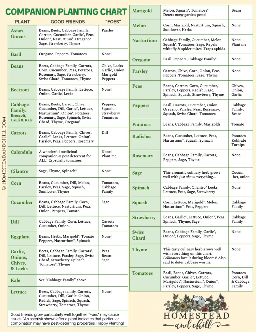 Collection of Companion Planting Charts, Guides, and PDFs – World Water ...