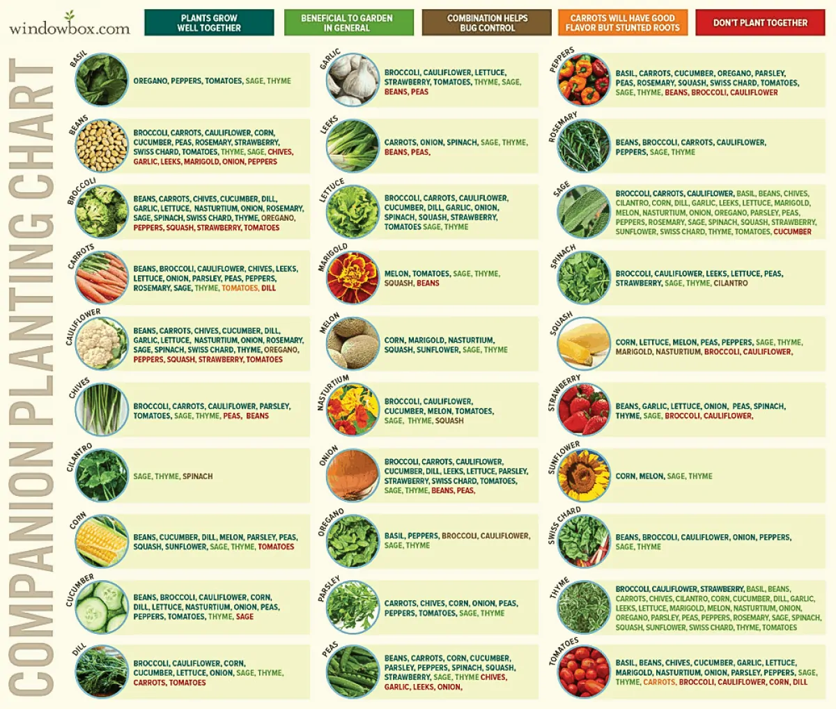 Collection of Companion Planting Charts, Guides, and PDFs World Water