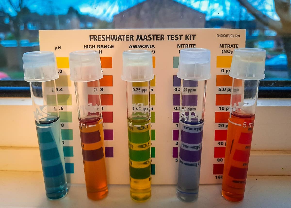 How To Test Water Quality At Home Your Complete Guide World Water Reserve